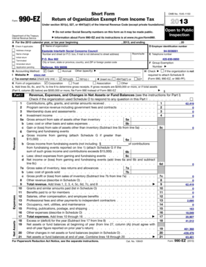 Form 990-EZ 2013
