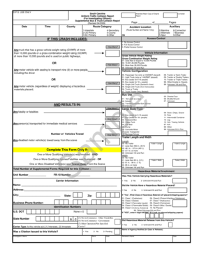 South Carolina Amended Traffic Collision Report
