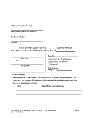 Idaho Petition for Paternity, Custody, Visitation, & Support