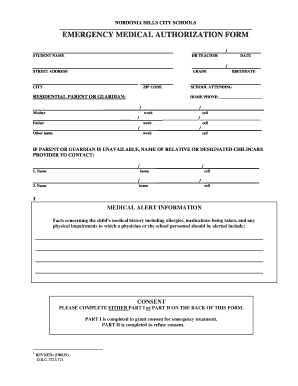 Emergency Medical Authorization Form
