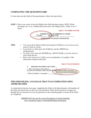 US Bankruptcy Court Reaffirmation Questionnaire
