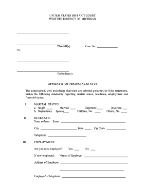Affidavit of Financial Status