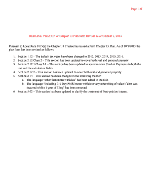 Chapter 13 Plan Form