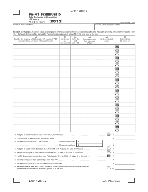 PA-41 Schedule D Form