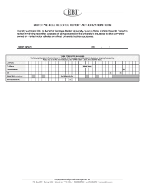Motor Vehicle Records Report Authorization Form