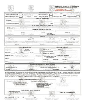 Formato de Alta para Registro Vehicular