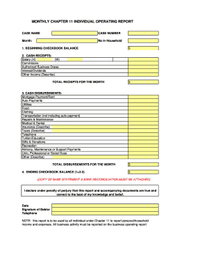 Chapter 11 Individual Operating Report