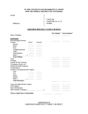 Amended Monthly Family Budget Form
