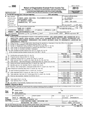 Form 990 2013