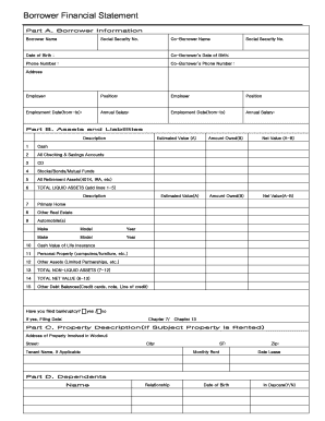 Borrower Financial Statement