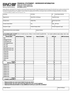 Student Loan Financial Statement Form