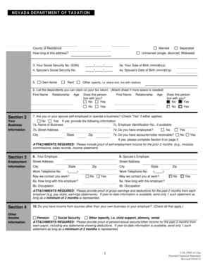 Nevada Personal Financial Statement