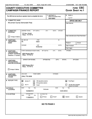 Texas County Executive Committee Campaign Finance Report