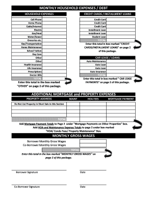 Household Expenses and Debt Form
