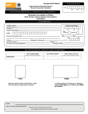 Formato DGP/ DR-01