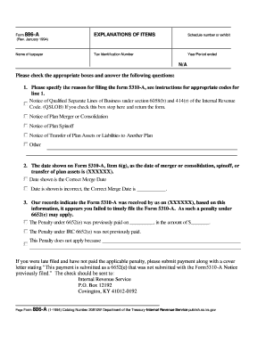 IRS Form 886-A Explanation of Items