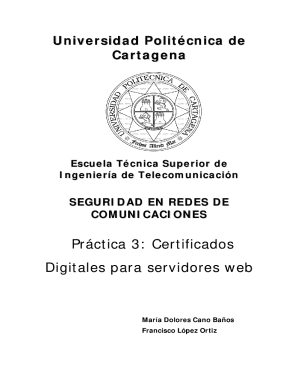 Index of /fburrull/docencia/seguridadenredes/old/practicas