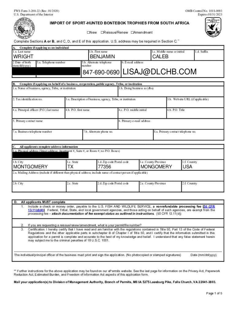 Form preview