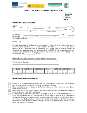 Anexo VI. Solicitud de liquidacin