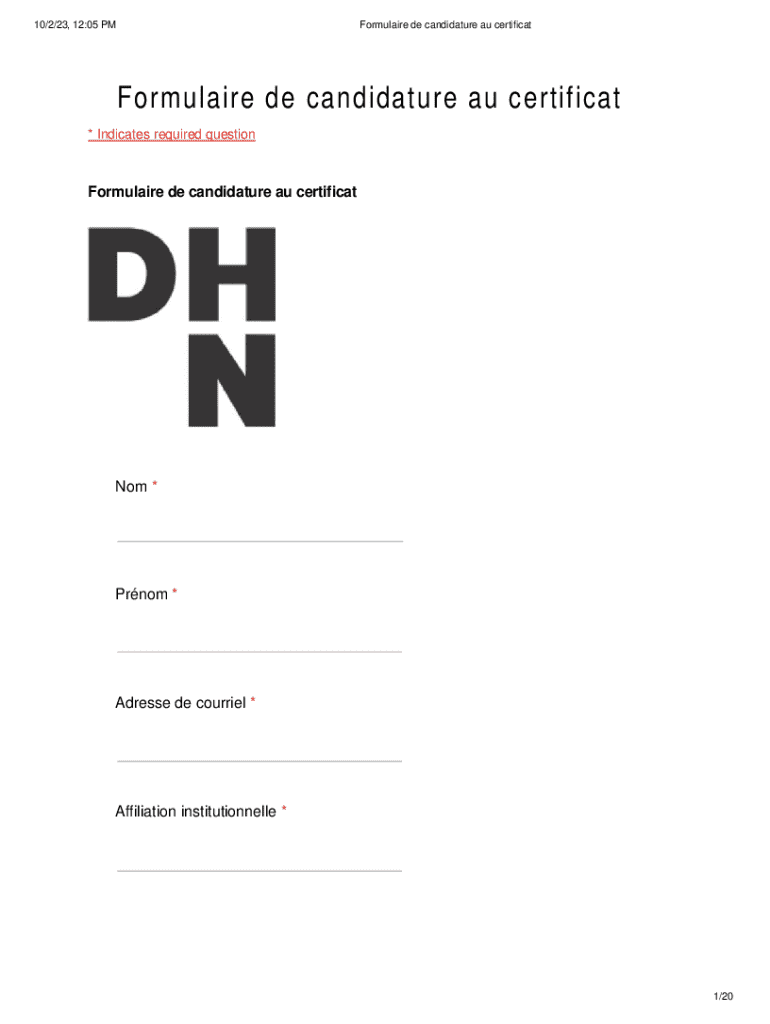 Form preview