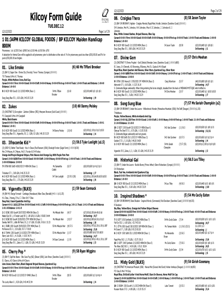 Form preview