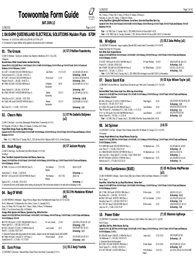 Form preview