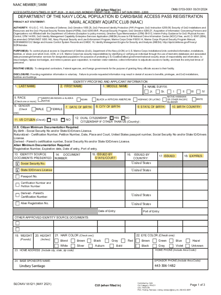 Form preview