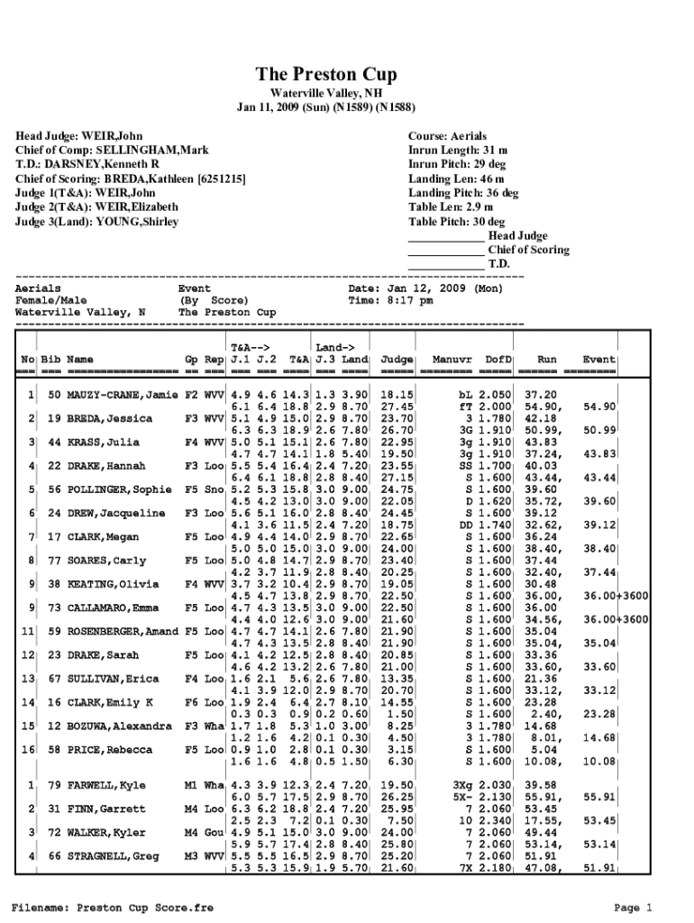 Form preview