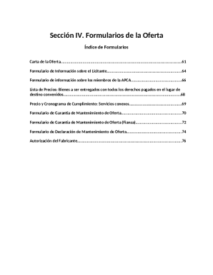 Seccin-v-formulario-editable.docx