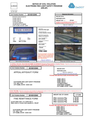 Delaware Electronic Red Light Violation Notice