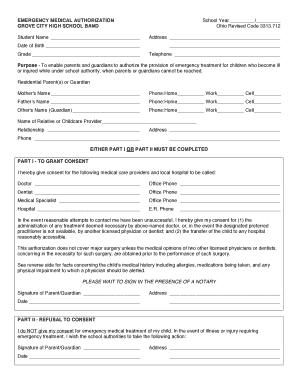 Emergency Medical Authorization Form