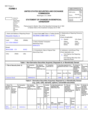 SEC Form 4 Statement of Changes in Beneficial Ownership