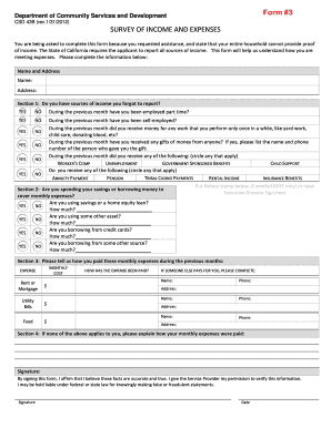 SURVEY OF INCOME AND EXPENSES Form #3 - capoc