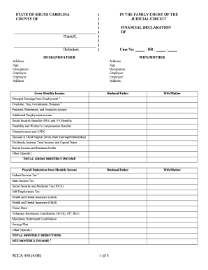 South Carolina Financial Declaration Form