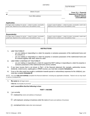 Ontario Financial Statement Form 13.1