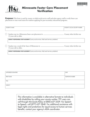 Minnesota Foster Care Placement Verification Form