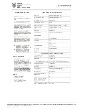 South Africa Employment Equity Report Form