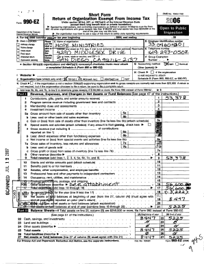 Form 990-EZ 2006