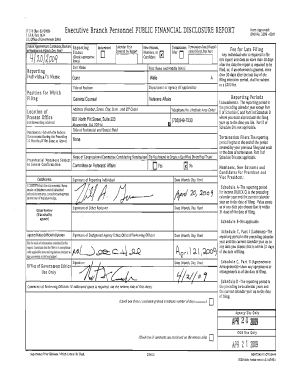 US Federal Public Financial Disclosure Report
