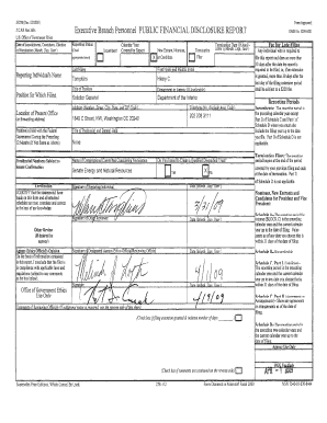 US Federal Personal Financial Disclosure Report