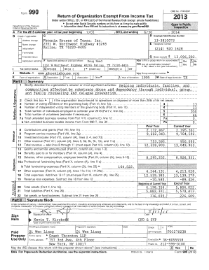 Form 990 2013