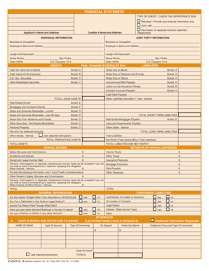 Financial Statement for Credit Application