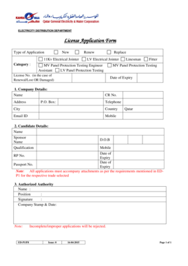 Qatar Electricity Distribution License Application