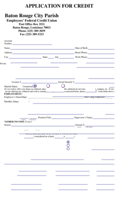 Credit Application Form