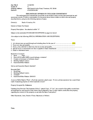 Preliminary Opinion on Title for Commitment