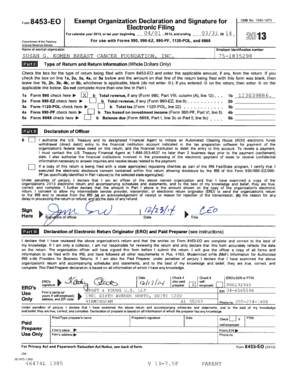Form 990 Tax Exempt Organization Return
