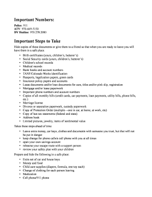 Domestic Violence Safety Plan