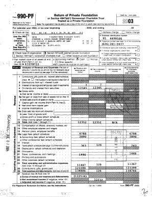 Form 990-PF 2003