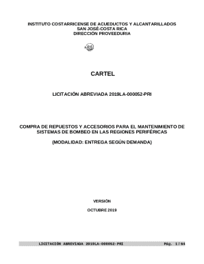 Support to the instituto costarricense de acueductos y ...