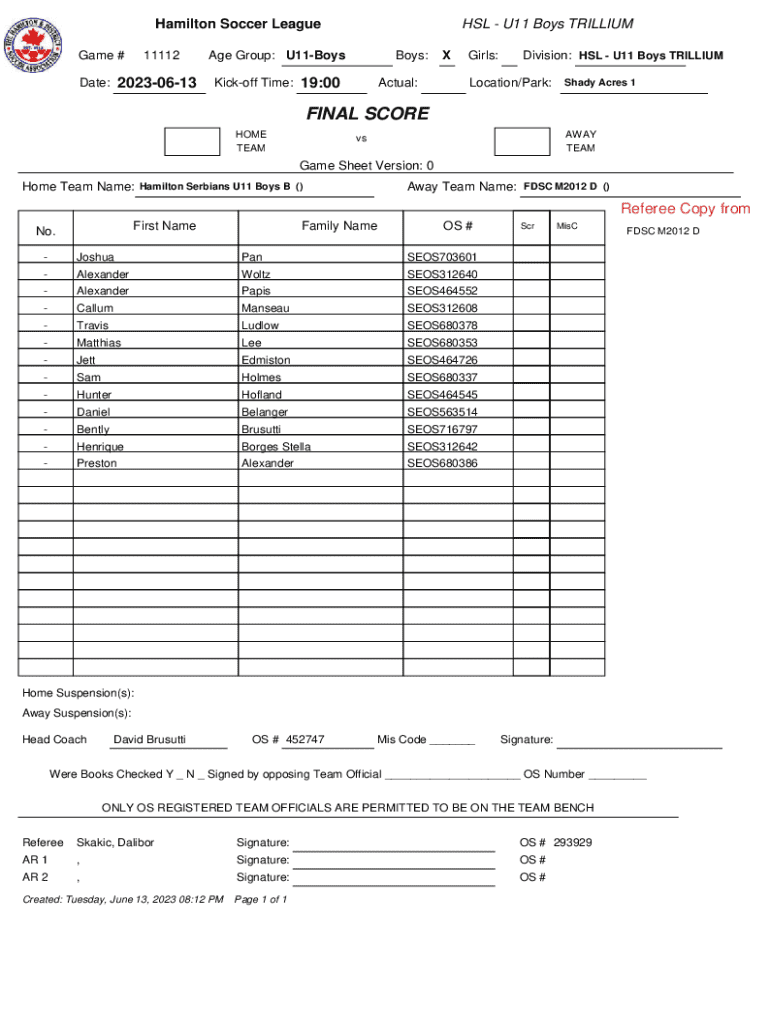 Form preview